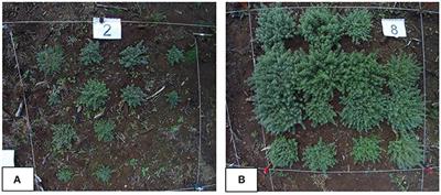 Developing Sustainable Agromining Systems in Agricultural Ultramafic Soils for Nickel Recovery